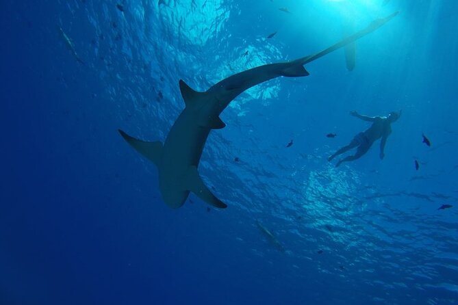 SHARED HALF DAY LAGOON TOUR - Bora Bora Cultural Lagoon Tour - 9:00 am start and four hours on the water