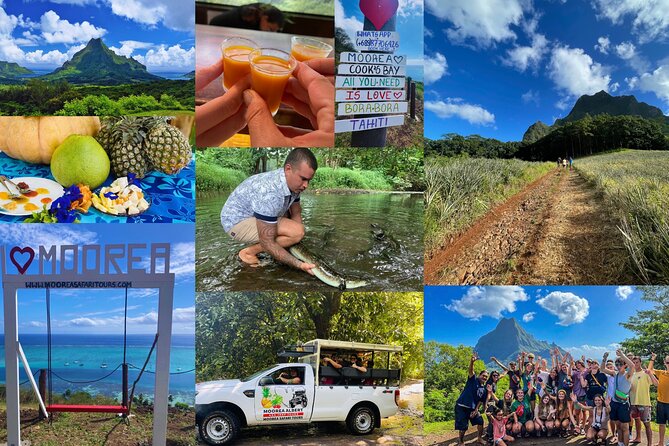 Shared Transfer: Hotel or Cruise Port to Tahiti Airport - Is $30 a good value?