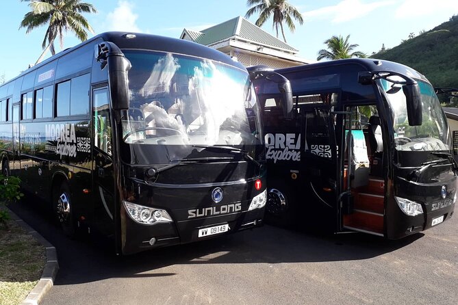Shared Transfer : Hotel to Moorea Airport (or) Pier - Key points to know before booking