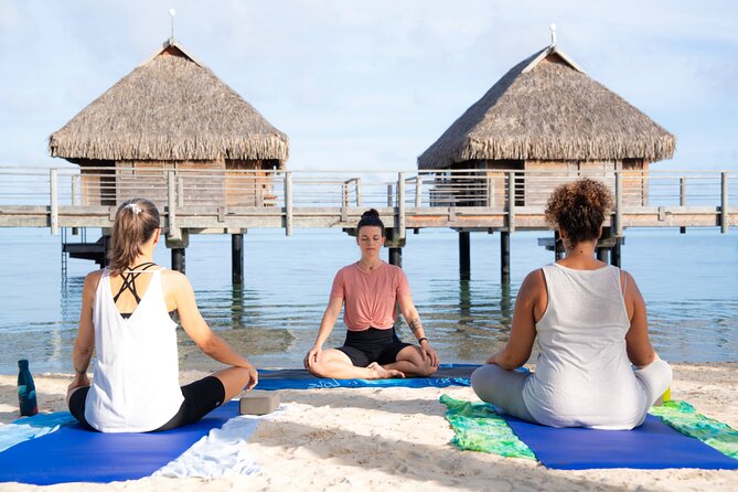 Shared Transfer : Hotel to Moorea Airport (or) Pier - Who should book this Moorea transfer?
