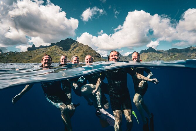 Shared Whale Expedition - What the four-hour outing is like