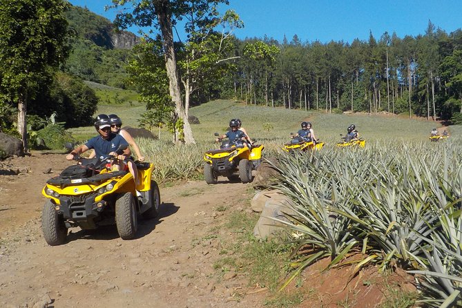 Small Combo 2h30 Quad + 1h Jetski - Starting at Opunohu at 8:30 a.m.
