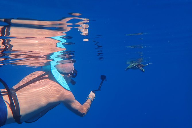 Small group snorkeling (5 people max): Turtles at 7:30am - Captain Benoit’s role in the experience