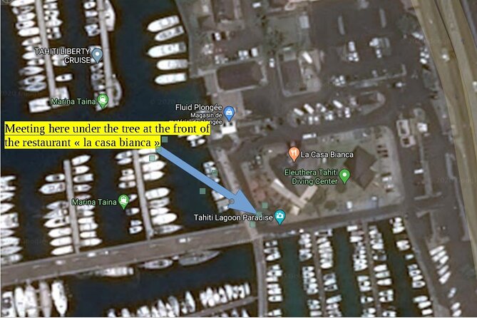 Small group snorkeling (5 people max): wrecks & tropical fishes at 1:00pm - Why a five-person group changes the experience