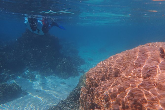 Small group snorkeling (5 people max): wrecks & tropical fishes at 10:30am - Weather, water conditions, and backup plans