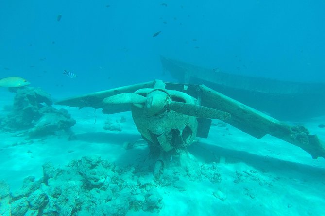 Small group snorkeling (5 people max): wrecks & tropical fishes at 3:30pm - Quick points to know before booking
