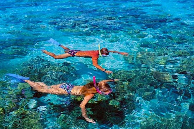 Small group snorkeling (5 people max): wrecks & tropical fishes at 3:30pm - One airplane, two boats, and about 70 minutes in the water