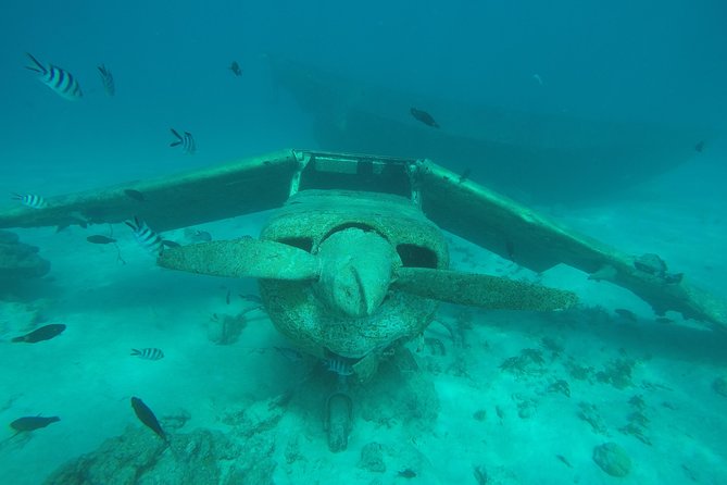Small group snorkeling (5 people max): wrecks & tropical fishes at 3:30pm - Captain Benoit’s personal approach