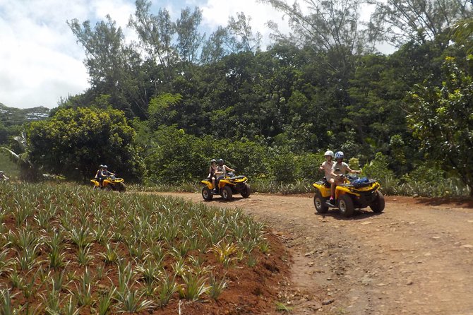 Small Quad Tour 2h30 Quad excursion in Moorea (single or two-seater) - The best parts of this Moorea quad ride