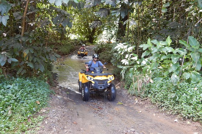Small Quad Tour 2h30 Quad excursion in Moorea (single or two-seater) - Belvedere Lookout and the two-bay view