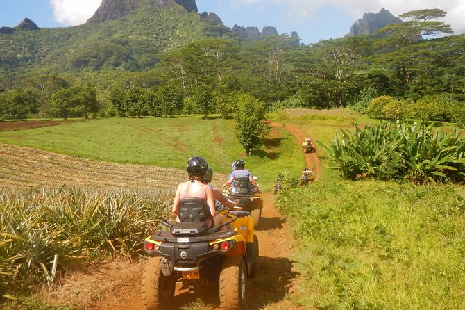 Small Quad Tour 2h30 Quad excursion in Moorea (single or two-seater) - The Magic Mountain question