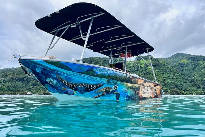 Snorkeling EN Small Group Tour in Tahiti - Why the eight-person limit changes the outing