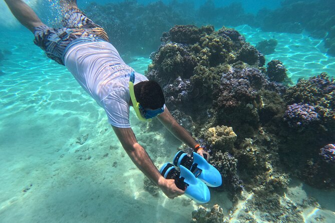 Snorkeling EN Underwater Scooter in Tahiti - Key points at a glance