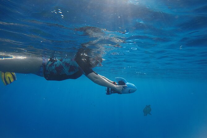 Snorkeling EN Underwater Scooter in Tahiti - Who will enjoy this outing most