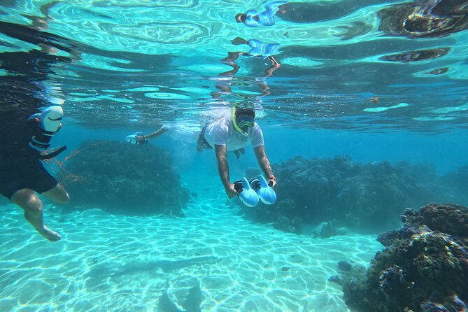 Snorkeling EN Underwater Scooter in Tahiti - Coral reefs and Tahiti’s tropical fish
