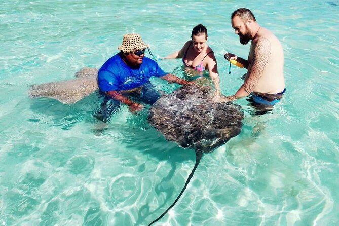 Snorkeling excursion and encounter with marine fauna in Moorea - Why this six-hour lagoon trip is worth considering