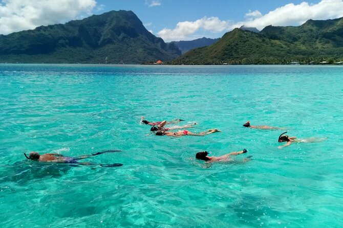 Snorkeling excursion and encounter with marine fauna in Moorea - Snorkeling stop one: fish and coral