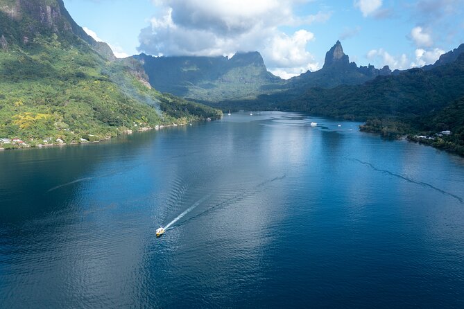 Snorkeling excursion and encounter with marine fauna in Moorea - Snorkeling stop two: stingrays and blacktip reef sharks