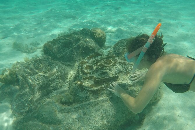 Snorkeling excursion and encounter with marine fauna in Moorea - Lunch with rays beneath your feet