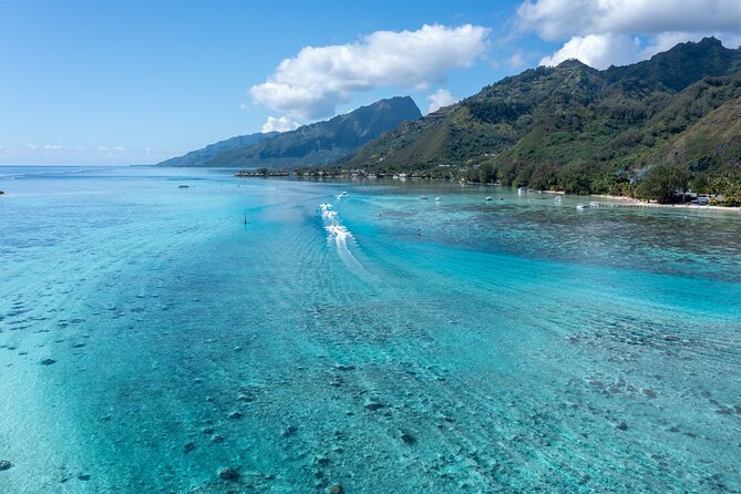 Snorkeling excursion and encounter with marine fauna in Moorea - Meeting the yellow boat at 9:00 am