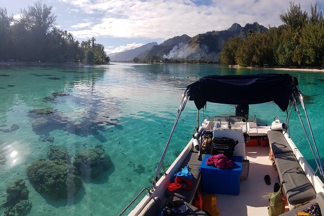Snorkeling excursion, discovery of the lagoon, small group. - Key Points Before You Book