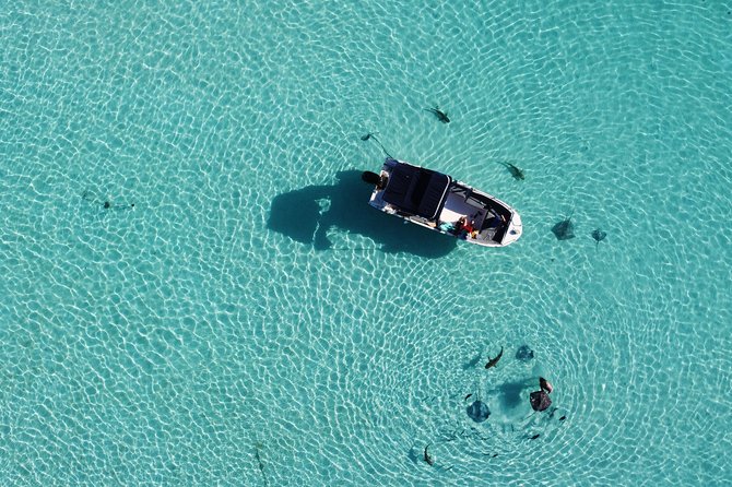 Snorkeling excursion, discovery of the lagoon, small group. - Alex’s Guiding Style Is Part of the Value
