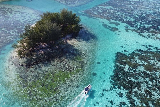 Snorkeling excursion, discovery of the lagoon, small group. - How the Small Group Changes the Morning