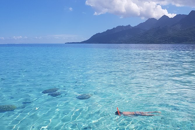 Snorkeling excursion, discovery of the lagoon, small group. - What to Bring and What to Expect
