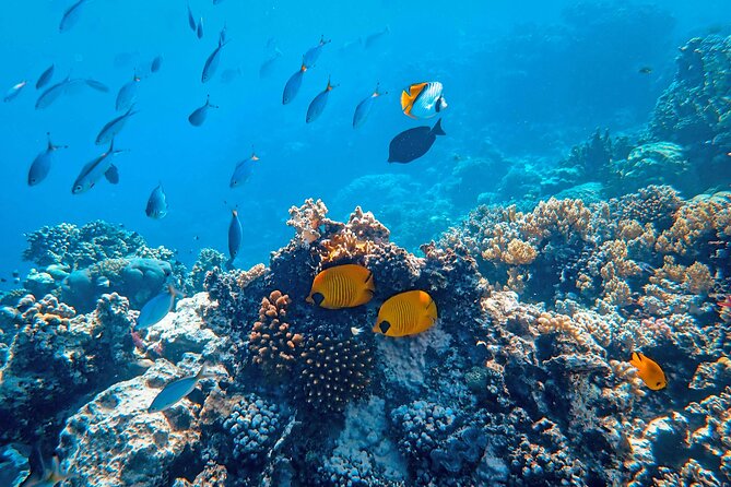 Snorkeling immersion in the wonders of Tahiti - Out on the boat at 2:00 pm