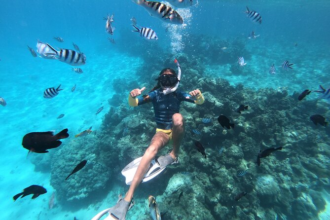 Snorkeling immersion in the wonders of Tahiti - Floating over coral and tropical fish