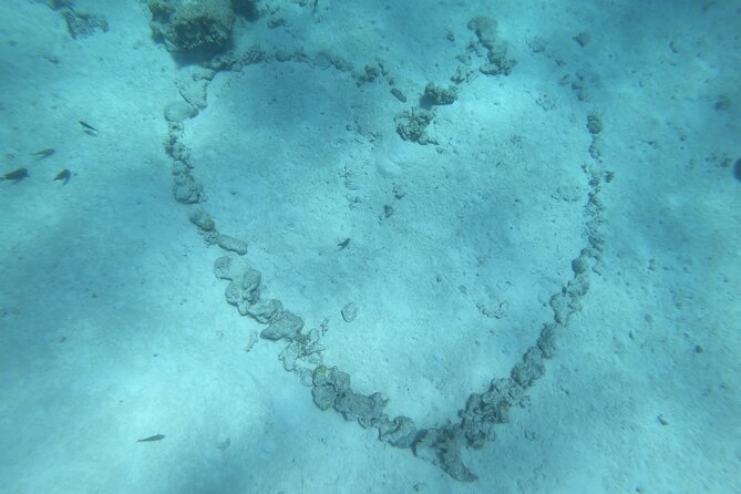 Snorkeling picnic in 4h30 with lunch in Tahiti - Guides Who Shape the Day