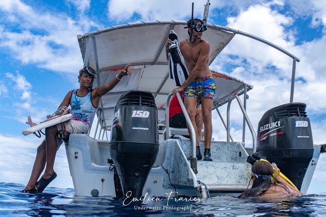 Snorkeling Safari Moorea (Half Day Tour) - Sea Turtles in Water That May Be Too Deep