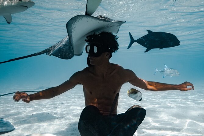 Snorkeling Safari Moorea (Half Day Tour) - Watching for Dolphins Along Moorea’s Coast