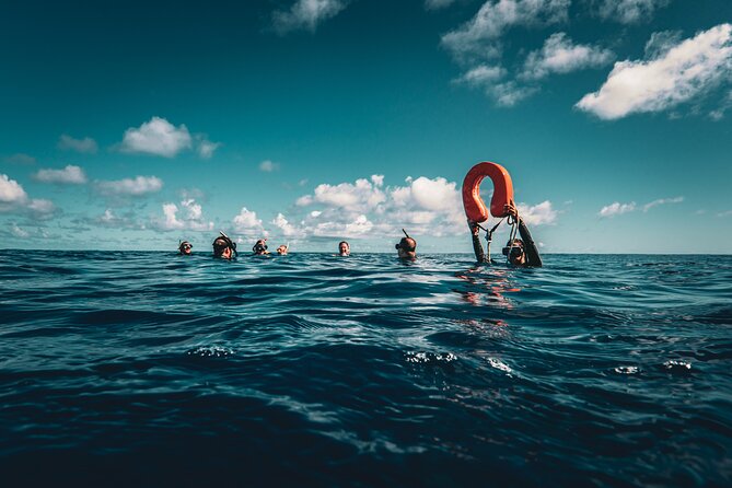 Snorkeling Tour in Moorea Aquatic Adventure Half Day - Starting at Marina d’Opunohu