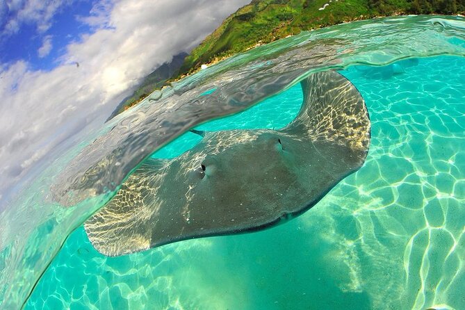 Snorkeling with underwater scooter in Taha’a lagoon from Raiatea - Learning the Lefeet S1 Pro Scooter
