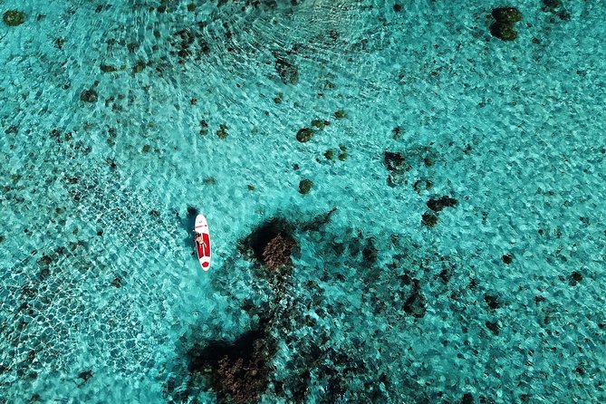 Stroll out of time on the lagoon of Bora Bora - Choosing Between a Gentle Paddle and Coral Viewing