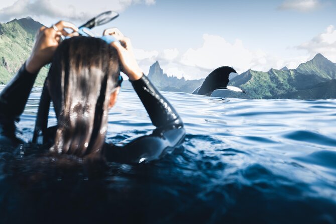Swimming with Whales in Moorea (Half Day tour) - Entering the Water With a Mother and Calf