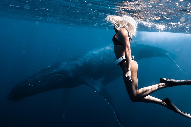 Swimming with Whales in Moorea (Half Day tour) - What the Small Boat Feels Like