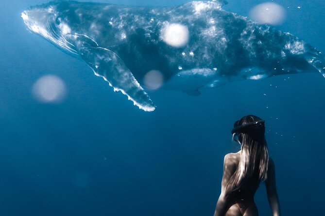 Swimming with Whales in Moorea (Half Day tour) - Photography Without Losing the Moment