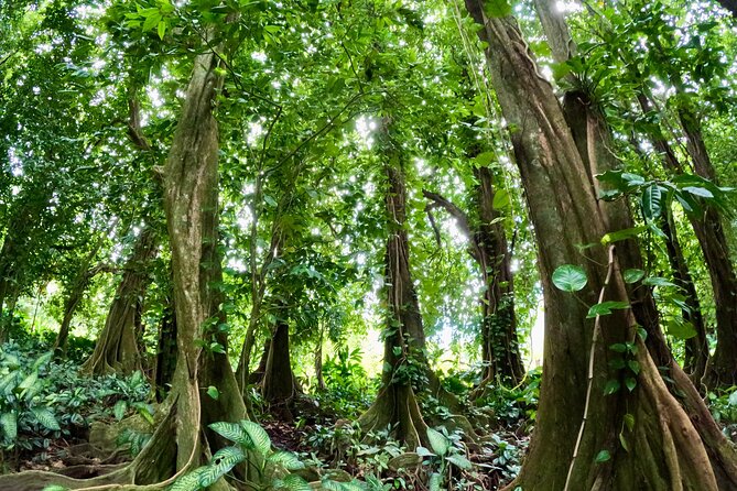 Taha'a Island or Raiatea Boat Tour - Why this eight-hour outing works well