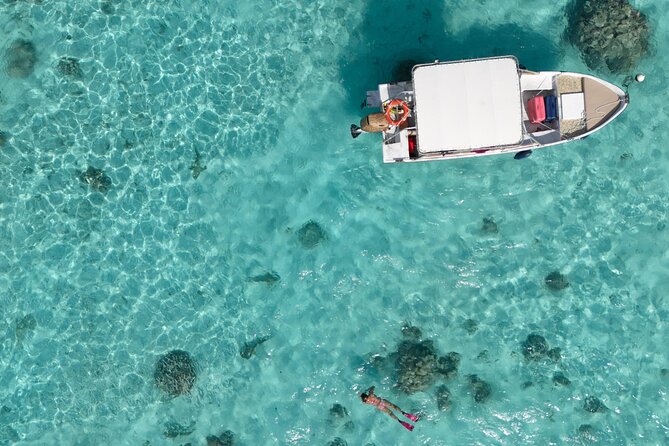 Taha'a Island or Raiatea Boat Tour - Stop 4: Iaorana Pearl Farm
