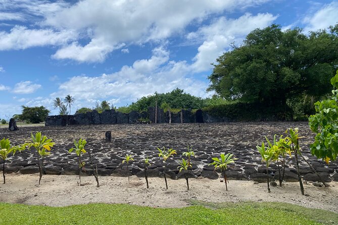 Taha'a Island or Raiatea Boat Tour - Lunch on a private motu