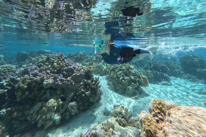 Tahaa Excursion in Electric Paddle Snorkeling Coral Garden - A calm way to see Taha’a from the water