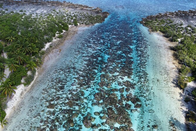 Tahaa Excursion in Electric Paddle Snorkeling Coral Garden - The snack break with your feet in the water