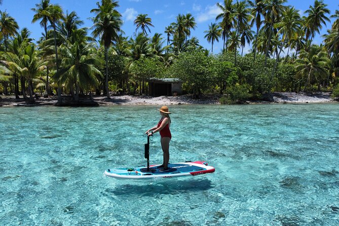 Tahaa Excursion in Electric Paddle Snorkeling Coral Garden - Morning, afternoon, or private outing?