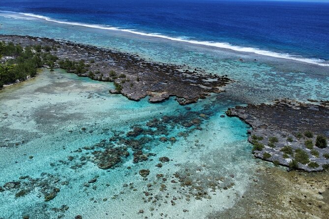 Tahaa Excursion in Electric Paddle Snorkeling Coral Garden - Who will enjoy this most?