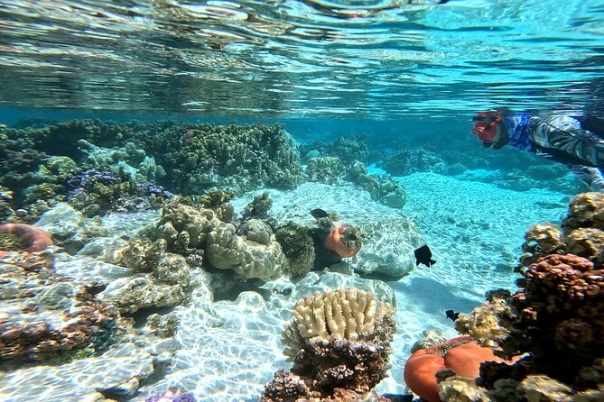 Tahaa Excursion in Electric Paddle Snorkeling Coral Garden - Coral Garden: the reason to choose this trip