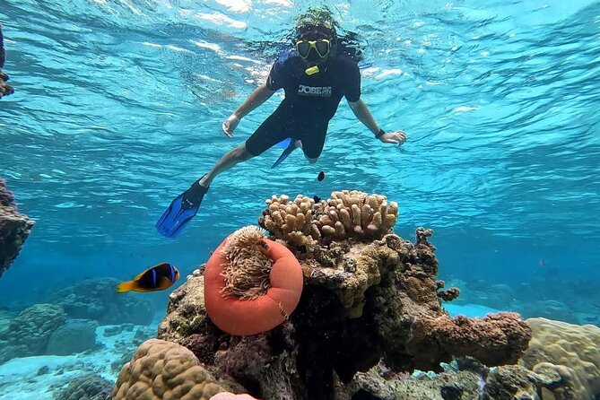 Tahaa: Kayaking Rental - Coral Garden - Snorkeling - What the return paddle is really like