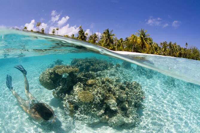 Tahaa Lagoon Tour -Departure Raiatea-Small groups (max 12 p) - Weather is the serious question mark