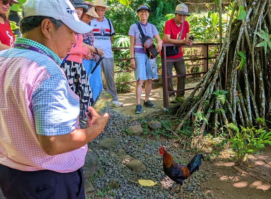 Tahiti Classical Coastal Full Day Private Tour - Why this eight-hour private loop works
